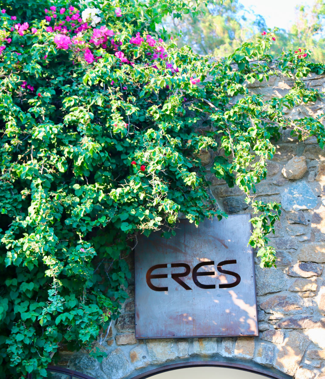 Eres